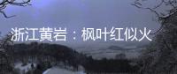 浙江黄岩：枫叶红似火 美景醉游人